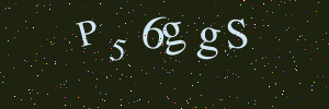 Validation image