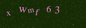 Validation image