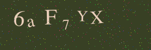Validation image